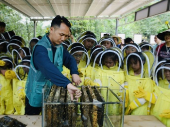 矿山重披绿装，林下“生金”13亿