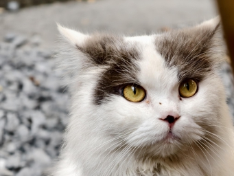 Jayson苹果iPhone 17系列或将涨价！