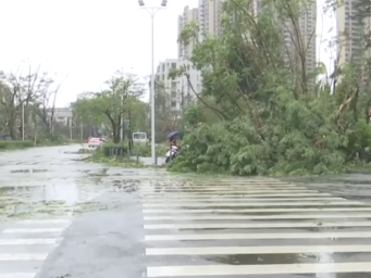 超强台风“桦加沙”过境，广东阳江：树木倒伏 交通受阻
