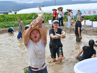 农民运动会 喜迎丰收节